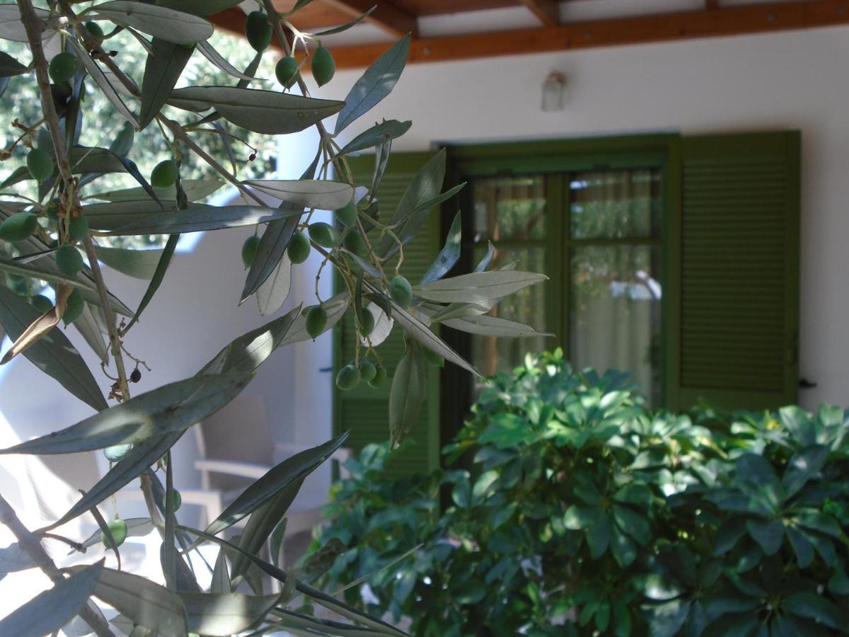Leros Eleonas Apartments Alinda  Exteriér fotografie