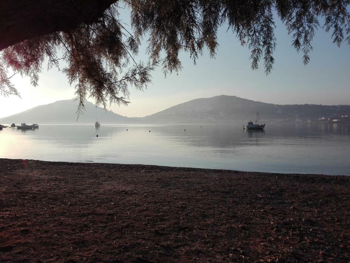 Leros Eleonas Apartments Alinda  Exteriér fotografie