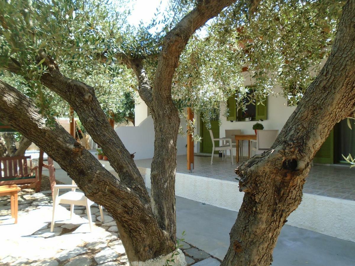 Leros Eleonas Apartments Alinda  Exteriér fotografie