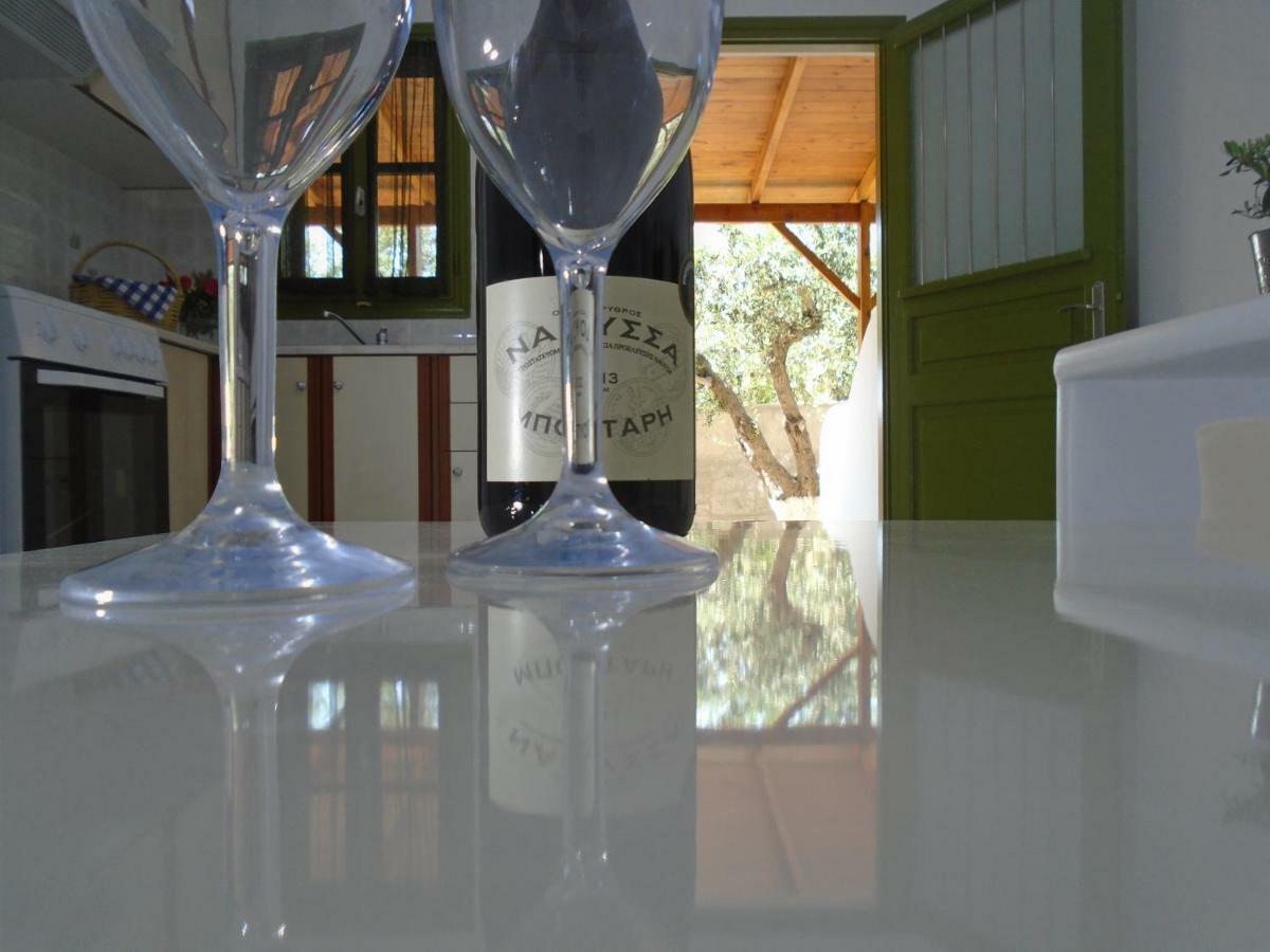 Leros Eleonas Apartments Alinda  Exteriér fotografie
