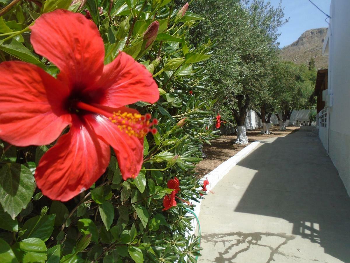 Leros Eleonas Apartments Alinda  Exteriér fotografie